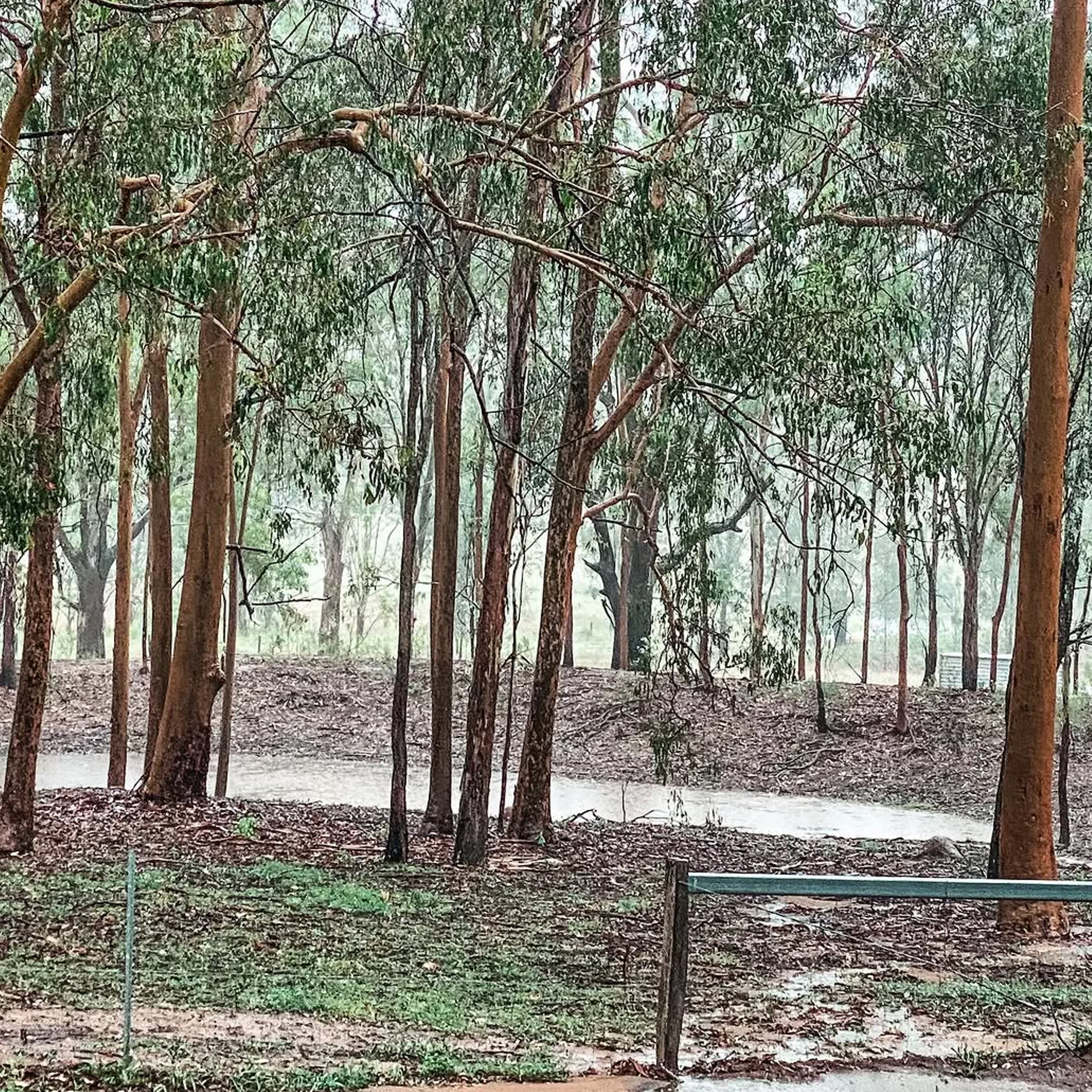 queensland wet-season conditions