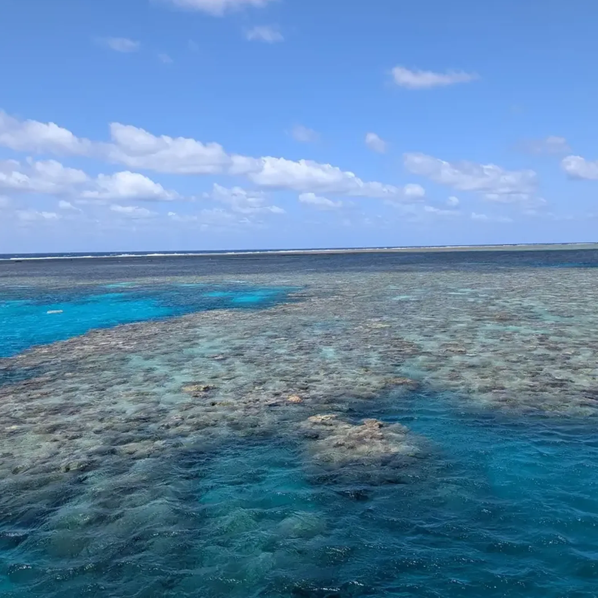 underwater coral reef