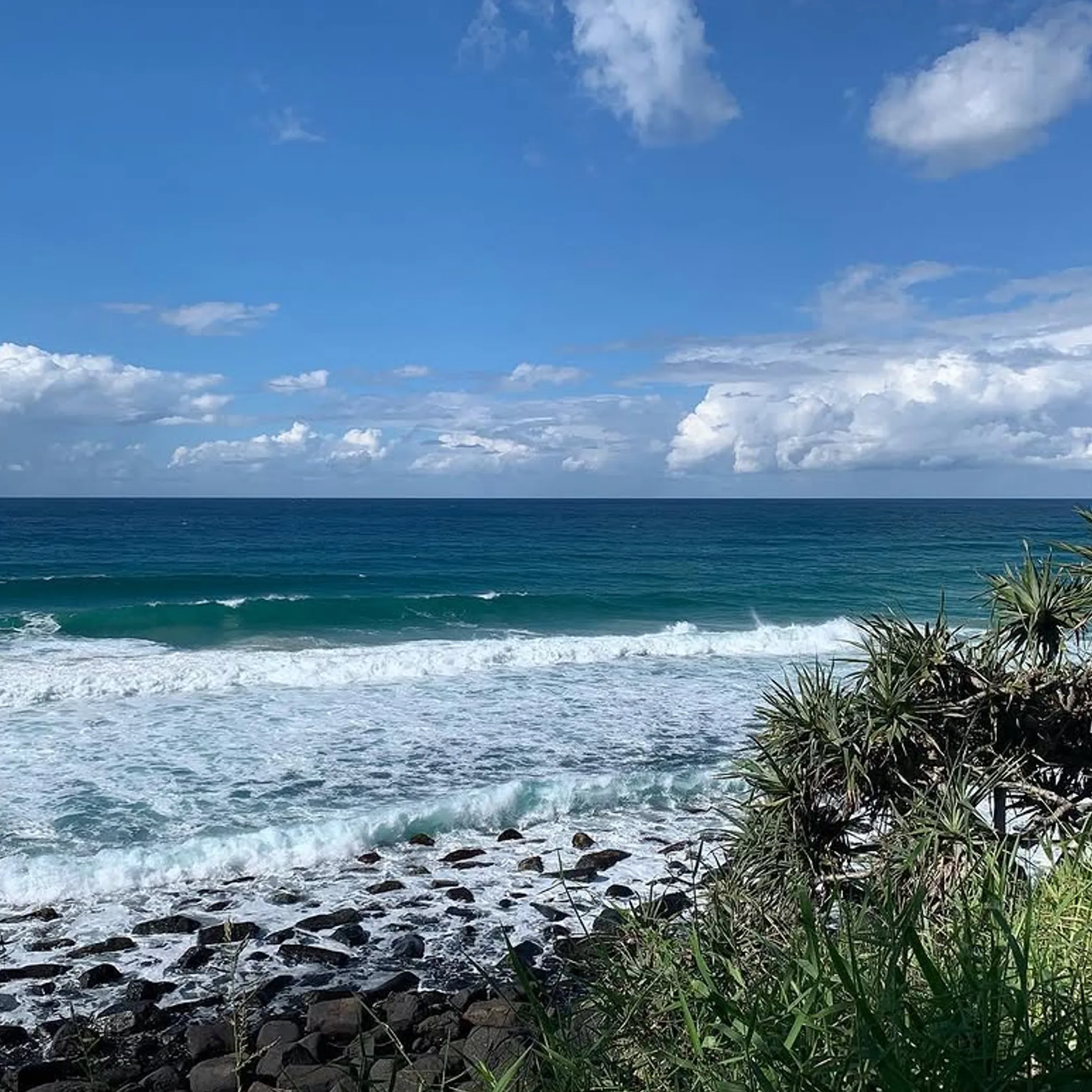 stormy beach with surf and tropical vegetation
