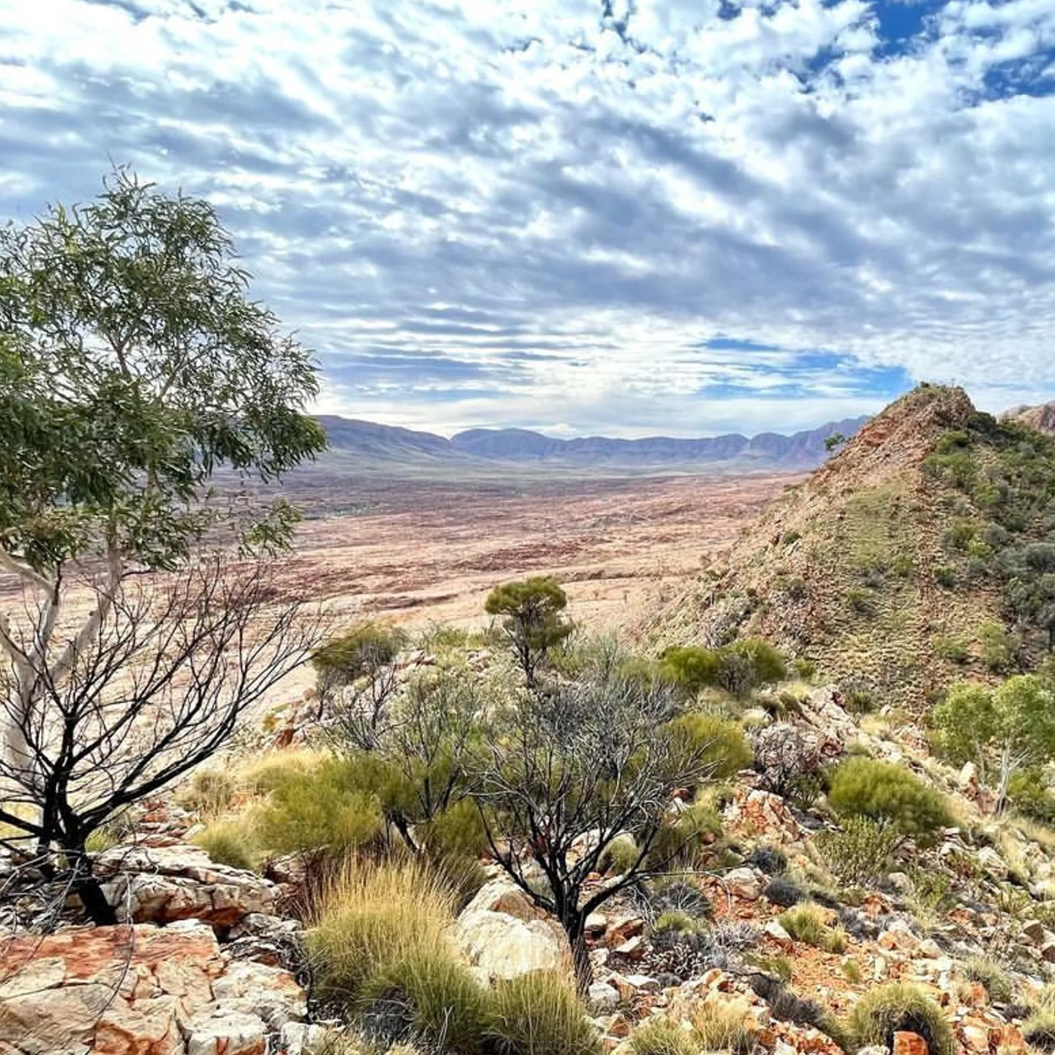 west macdonnell outback landscape