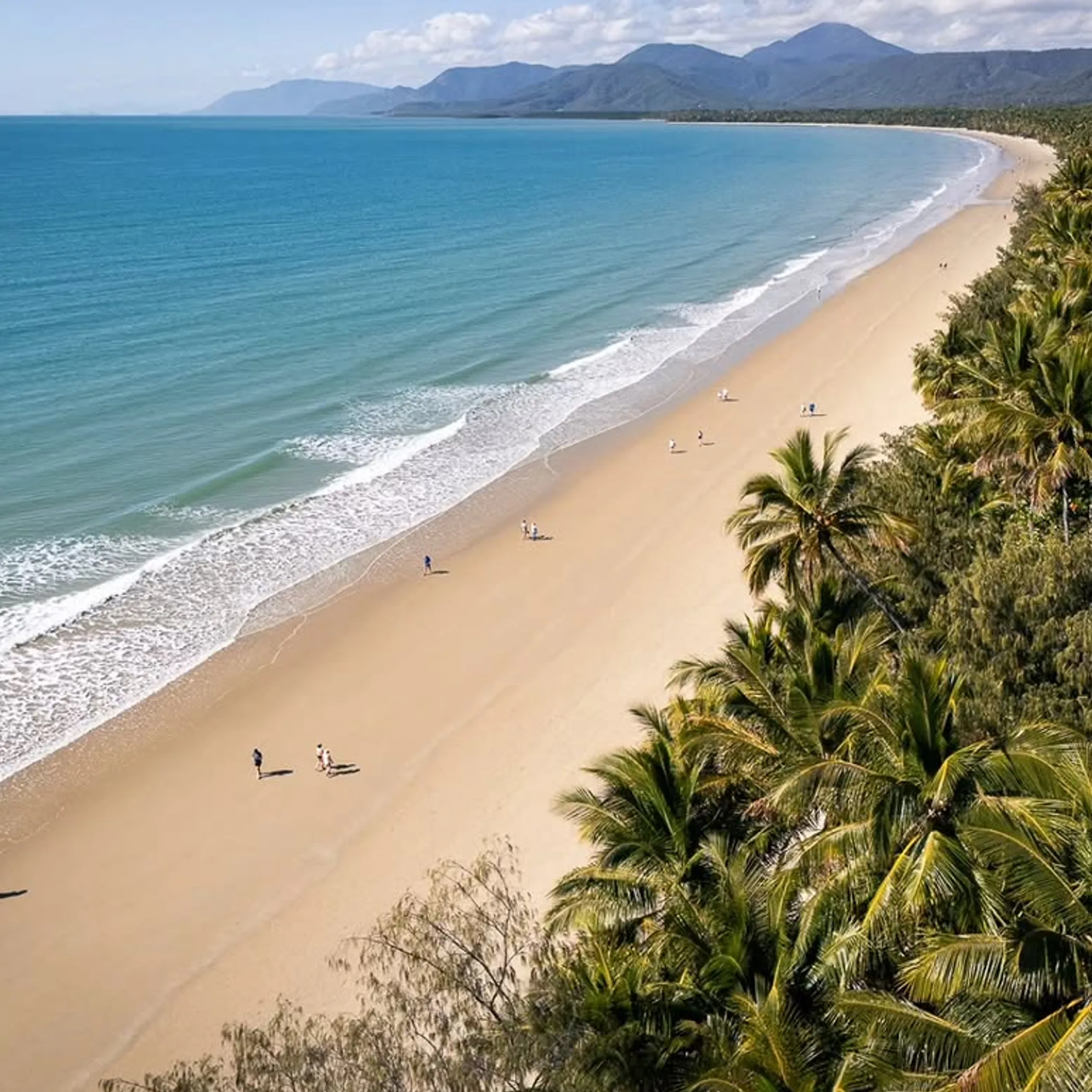 tropical beach in queensland