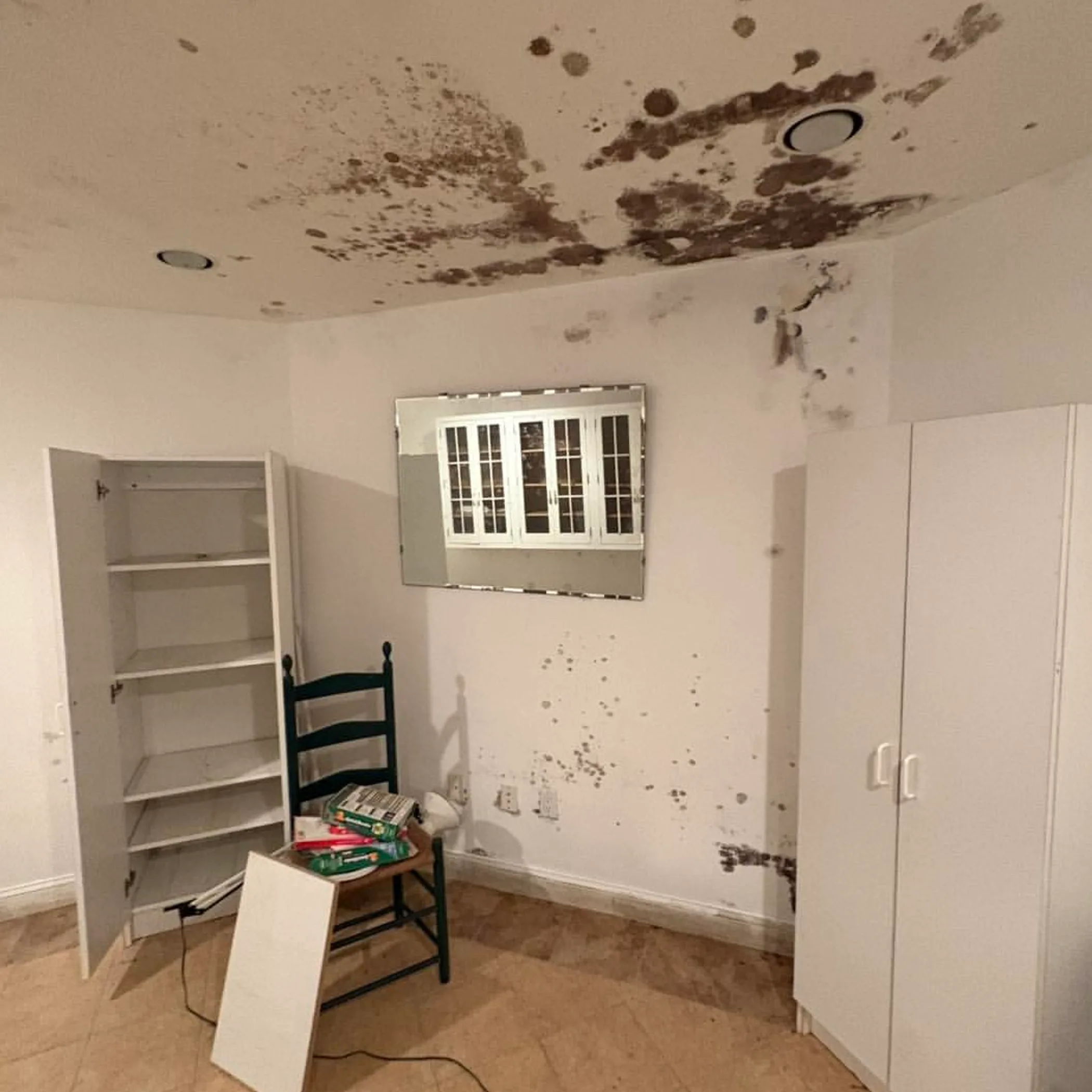 visible mold and water damage
